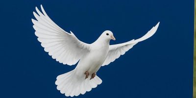 WhatsApp Image 2025-10-15 at 13.30.50_3020cb9c WhatsApp Image 2025-10-15 at 13.30.50_3020cb9c